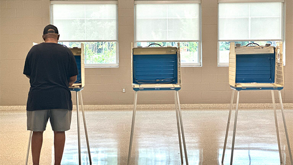 va voting mercury.png