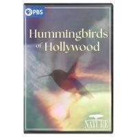 Hummingbirds of Hollywood (DVD)