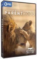NATURE - Parenthood Season 1 (2-DVD Set)